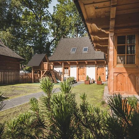 Jochymowka Zakopane Leilighet Eksteriør bilde